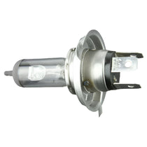 Bulbs & Bulb Holders