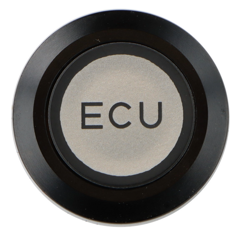 ECU Switch Illuminated Black Bezel - Car Builder Solutions
