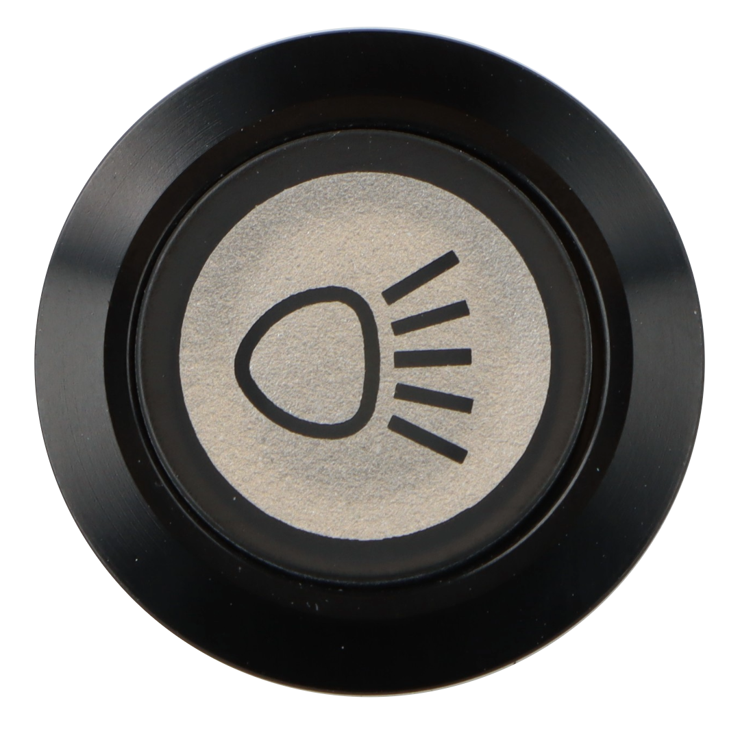 Headlight Switch Illuminated Black Bezel - Car Builder Solutions