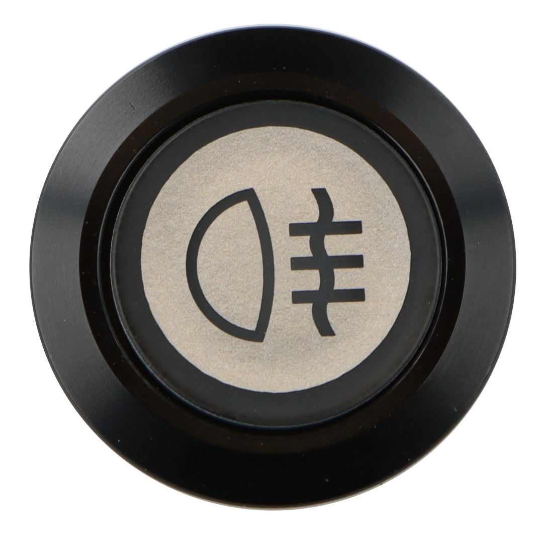 Rear Fog Switch Illuminated Black Bezel - Car Builder Solutions