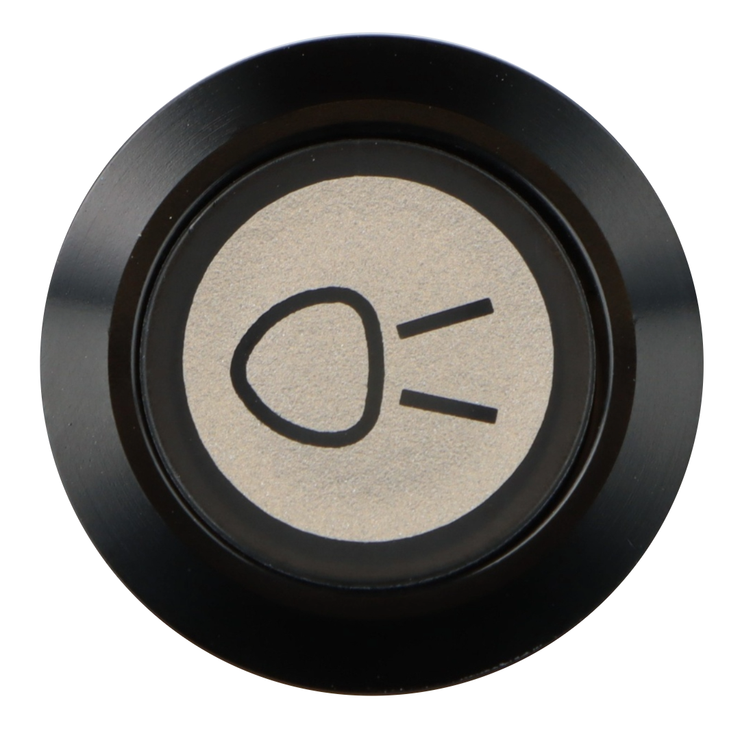 Side Light Switch Illuminated Black Bezel - Car Builder Solutions