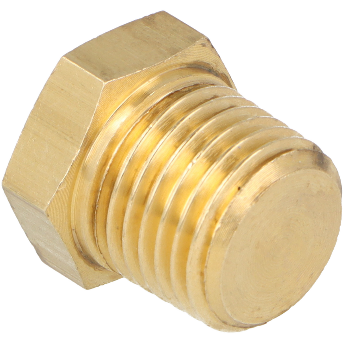 Brass Blanking Plug 1/4" BSPT - Car Builder Solutions