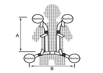 harness-4-point-car-builder-solutions