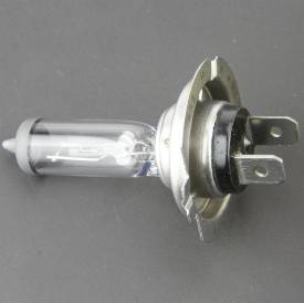 Picture of H7 55W Bulb
