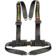 Picture of Black TWR 4 Point Harness