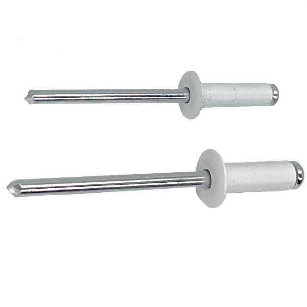 white-5mm-dome-head-rivets-pack-of-50